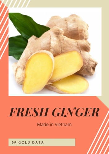 market price high quality young fresh ginger - organic fresh