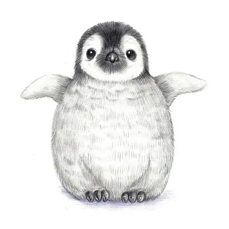 彩铅小动物-企鹅93 绘画要点 1.