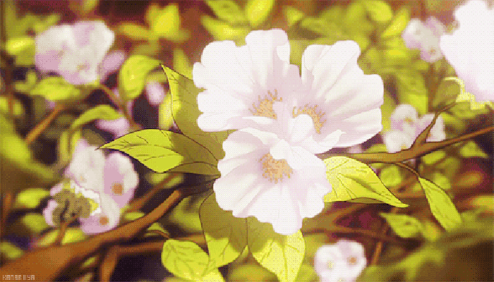 多彩梨乡,红色摇篮——黄梨小镇第三届梨花节邀您来赏! - 美篇