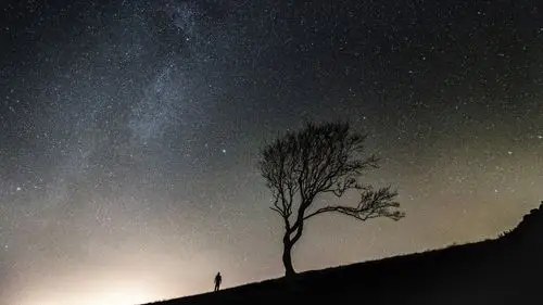 仰望星空图片壁纸620