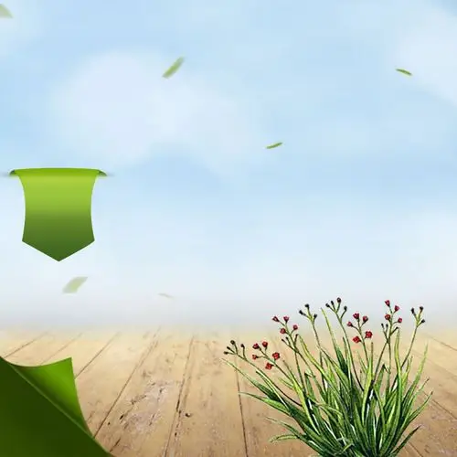 唯美花朵淘宝主图背景模板免费下载_psd格式_800像素_编号20100711-千