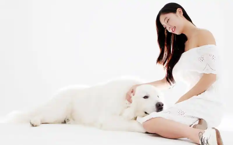 韩国女星李成敏桌面壁纸