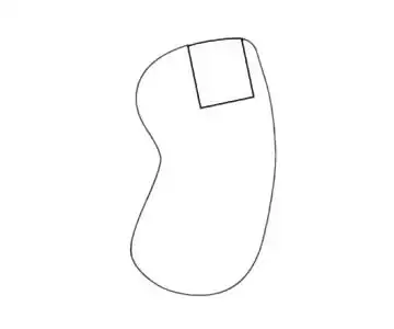 护膝简笔画步骤图解教程及图片大全