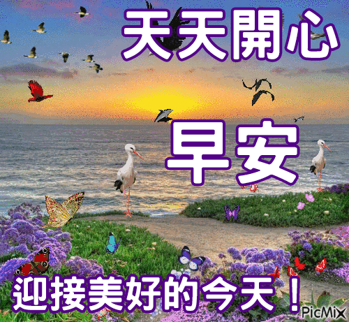 的夏日早安问候动态表情图片夏天清早问候大家早上好的动画表情图片