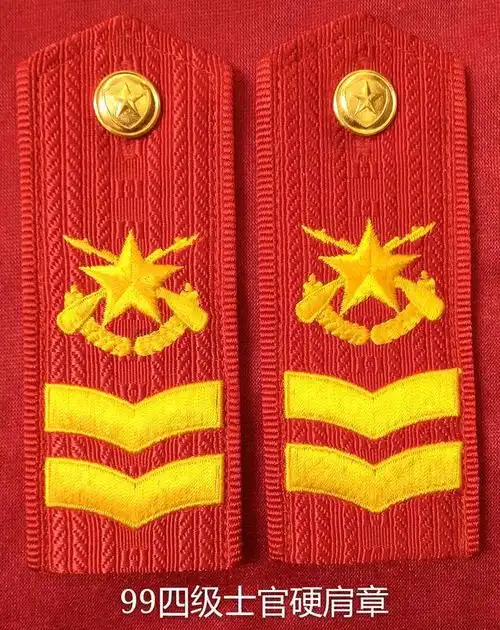 [原创]中国武警消防部队标志,符号,肩章,警衔大全集!