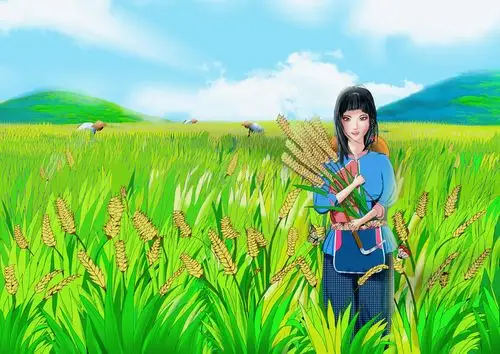 水稻产品插画