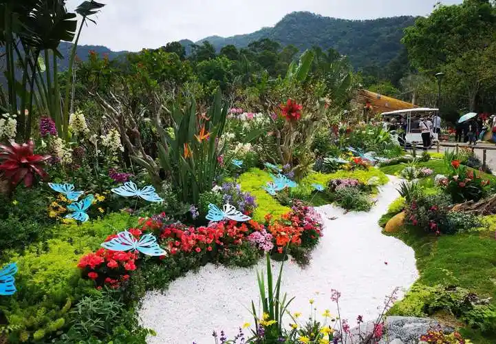 "粤港澳大湾区2019深圳花展"摄影作品集