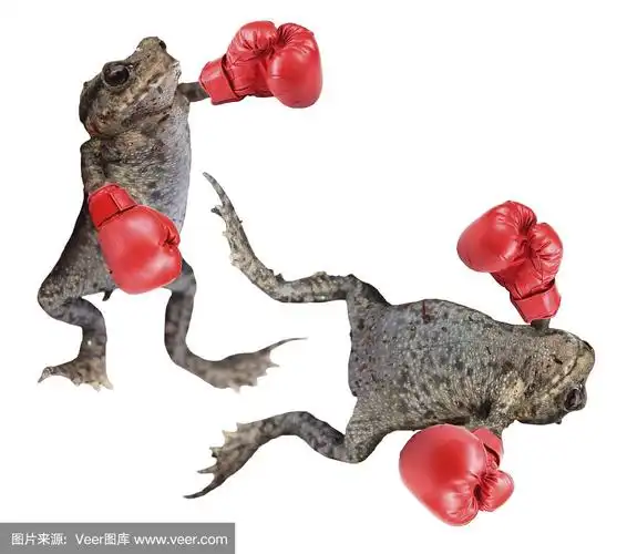 拳击青蛙