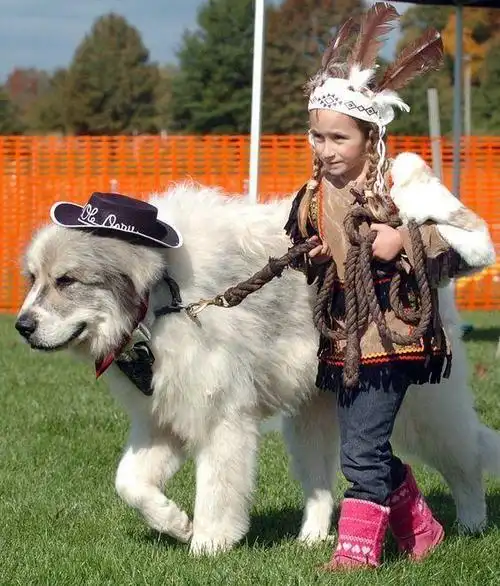 你骑着马,我骑着狗,大就是这么任性