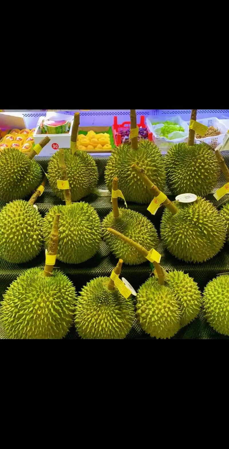 张小菓90 泰国长柄榴莲,号称"小猫山王"长柄口中过,金 - 抖音