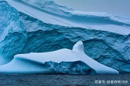 自然风光《南极冰山》