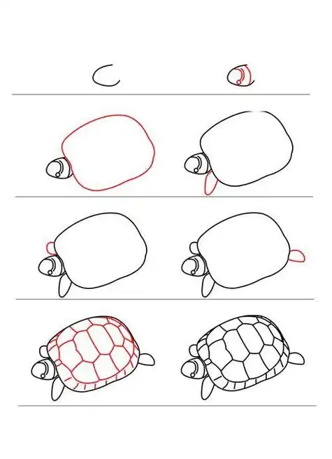 甲鱼的简笔画