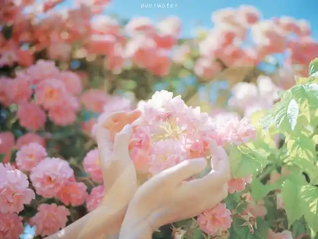 高清朋友圈背景,唯美治愈风景图