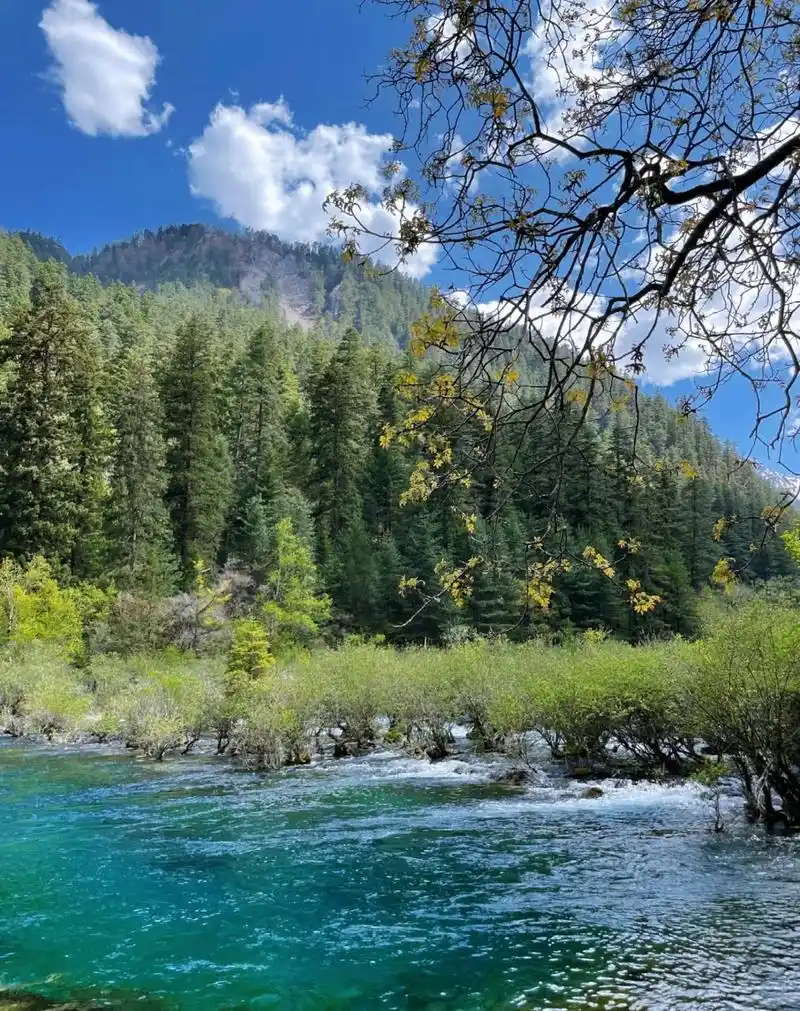 九寨沟三日游人均60077,吃住行门票全含  "九寨归来不看水,人间瑶池