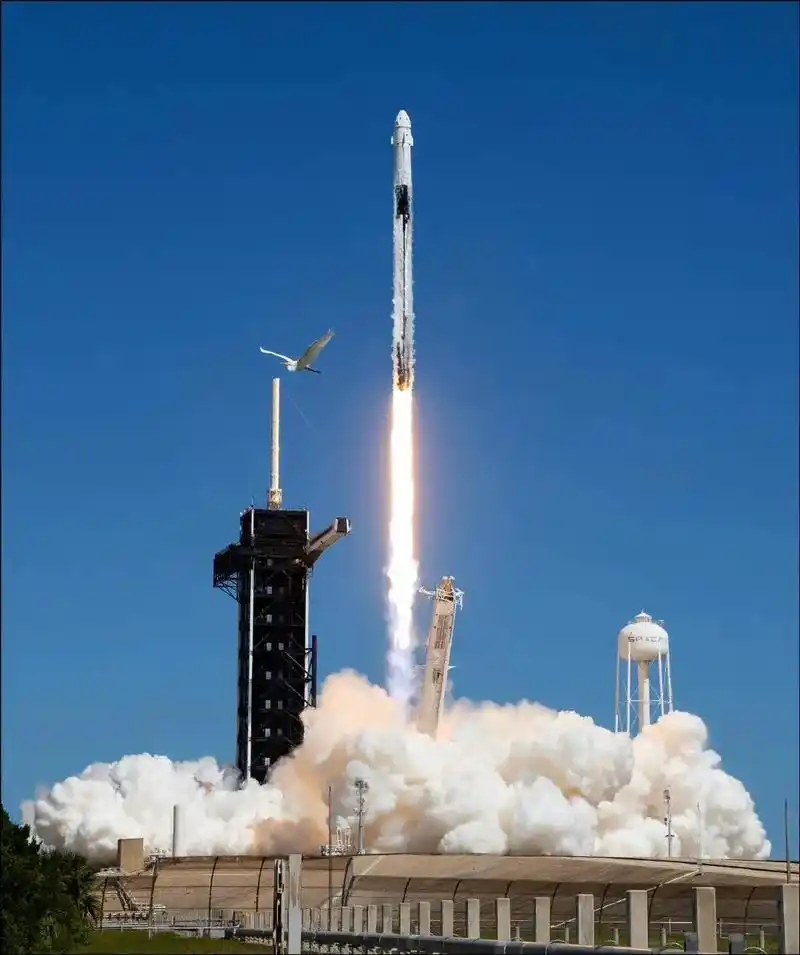 一组crew5任务点火升空高清大图spacex猎鹰9号运载火箭与载人龙飞船