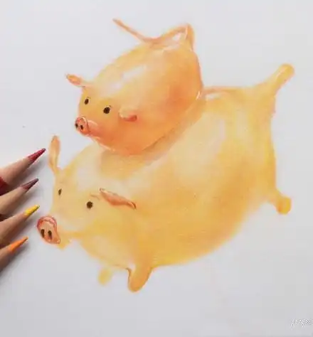 十二生肖猪图片 手绘糖猪过程图片