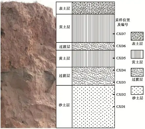 大连长兴岛砂质沉积物粒度分布与石英表面结构特征研究