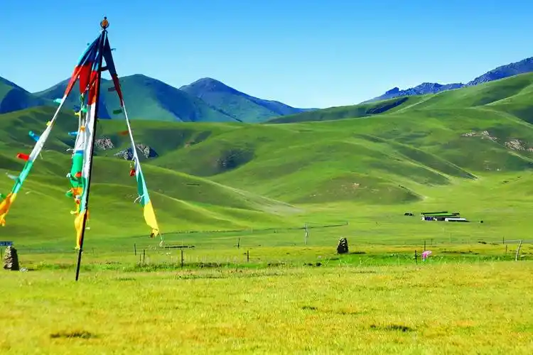 倚靠青海"天之山",被誉为"黄金牧场",门票免费却鲜有人知_祁连山草原