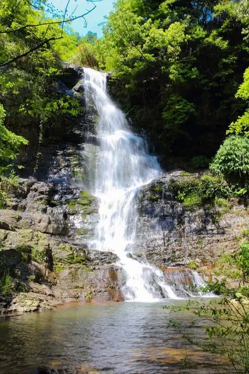 县区|冷水滩:银杏黄 秋果熟 初冬的腾云岭美不胜收