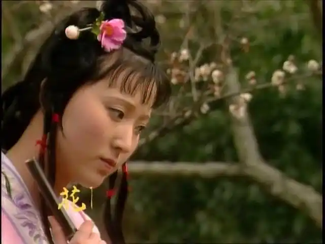 红楼梦 黛玉葬花