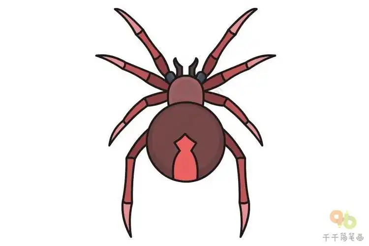 很简单蜘蛛精的简笔画
