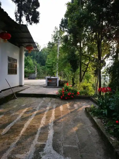 40多年的青石院坝还健康的话出它的优雅.