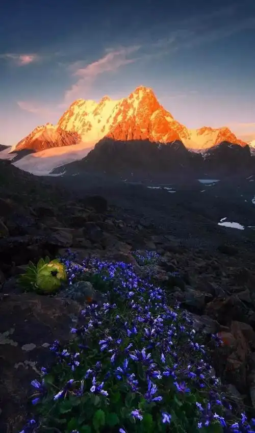 熟知景深 虚实之本