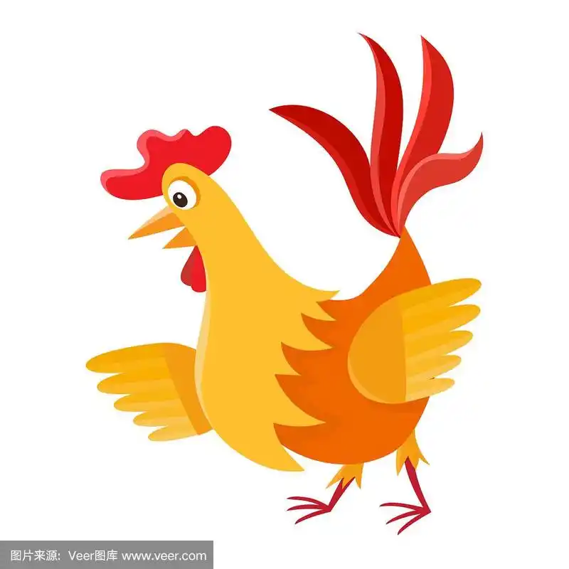 卡通公鸡孤立在白色卡通人物