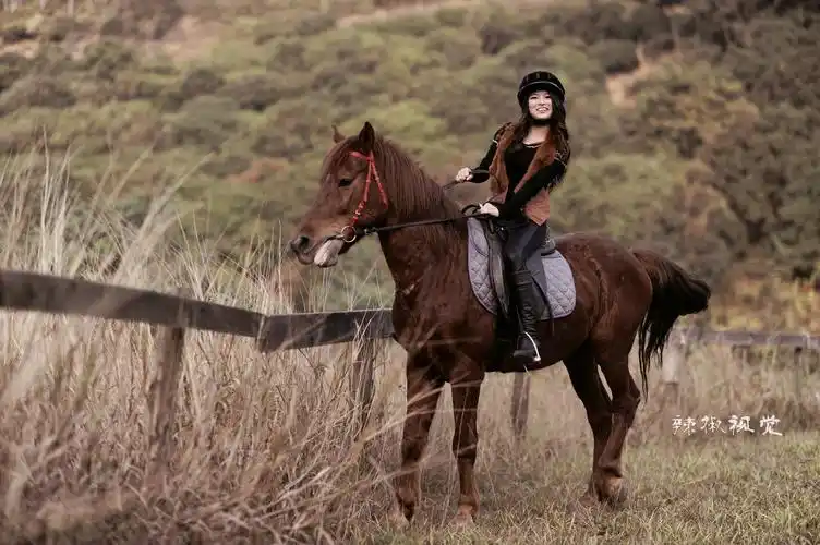 【辣椒视觉】 女骑士