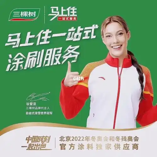 三棵树马上住旧房翻新服务