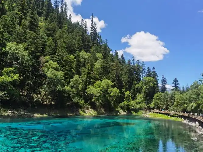 四川九寨沟绝美风景晴天看水