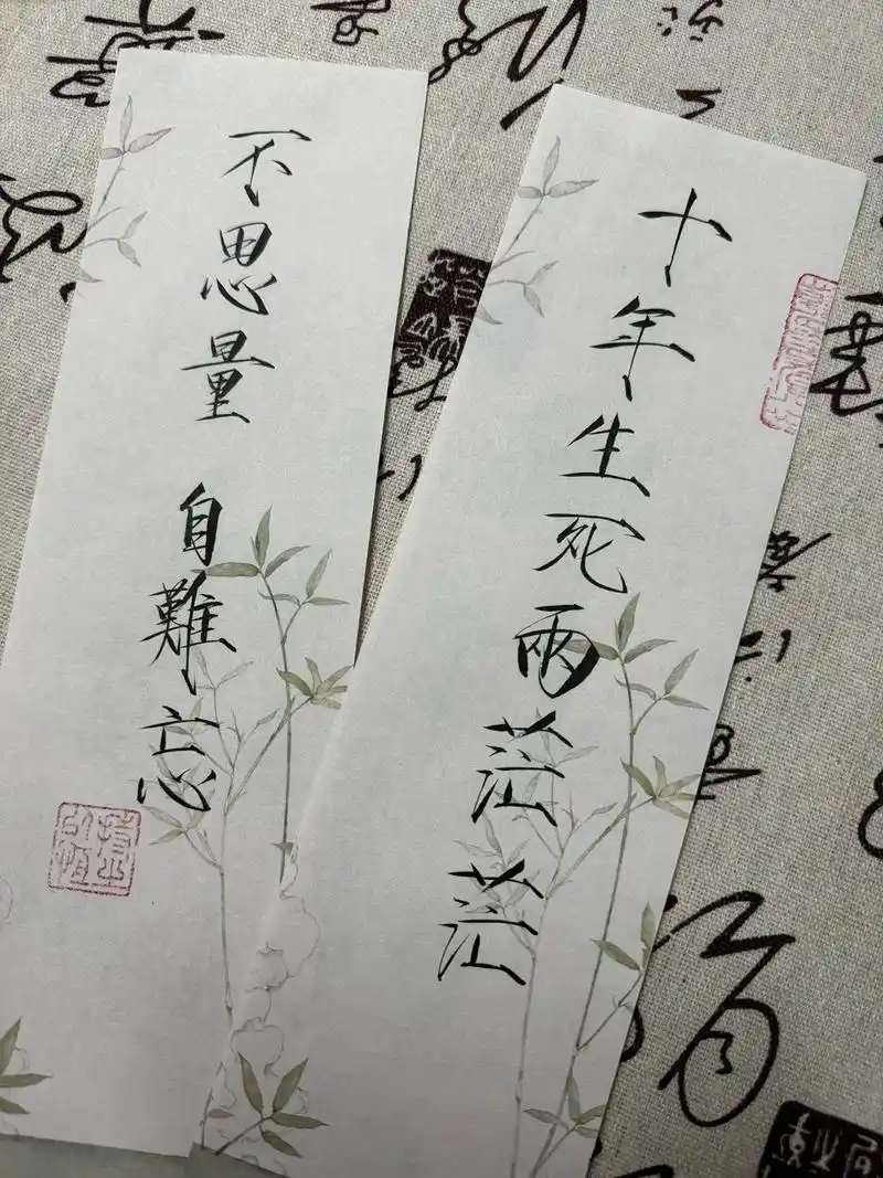 十年生死两茫茫 不思量自难忘#瘦金体 - 抖音