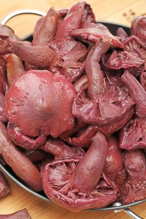 水煮的红松树蘑菇为烹饪原料在白色背景上