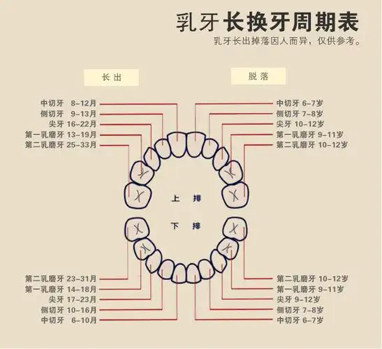 儿童乳牙纪念宝宝牙齿护实木相机乳牙盒sn1156 y胎毛乳牙盒 商品编号