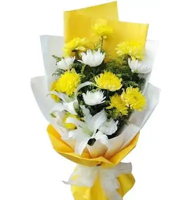 用艺术鲜花来代替蜡烛纸钱,常用的的扫墓鲜花有白菊,黄菊等常见菊花