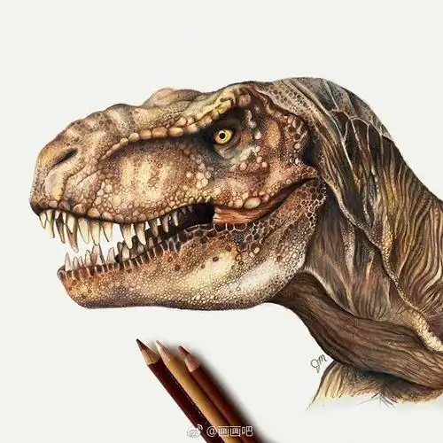 一组超写实的恐龙彩铅插画分享!