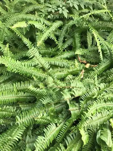 王靖林的暑期科学作业 - 美篇