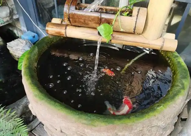 在客厅里面摆放鱼缸,是很多人的选择.