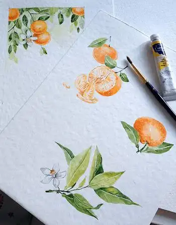 手绘橘子橙色橘子彩绘橘子