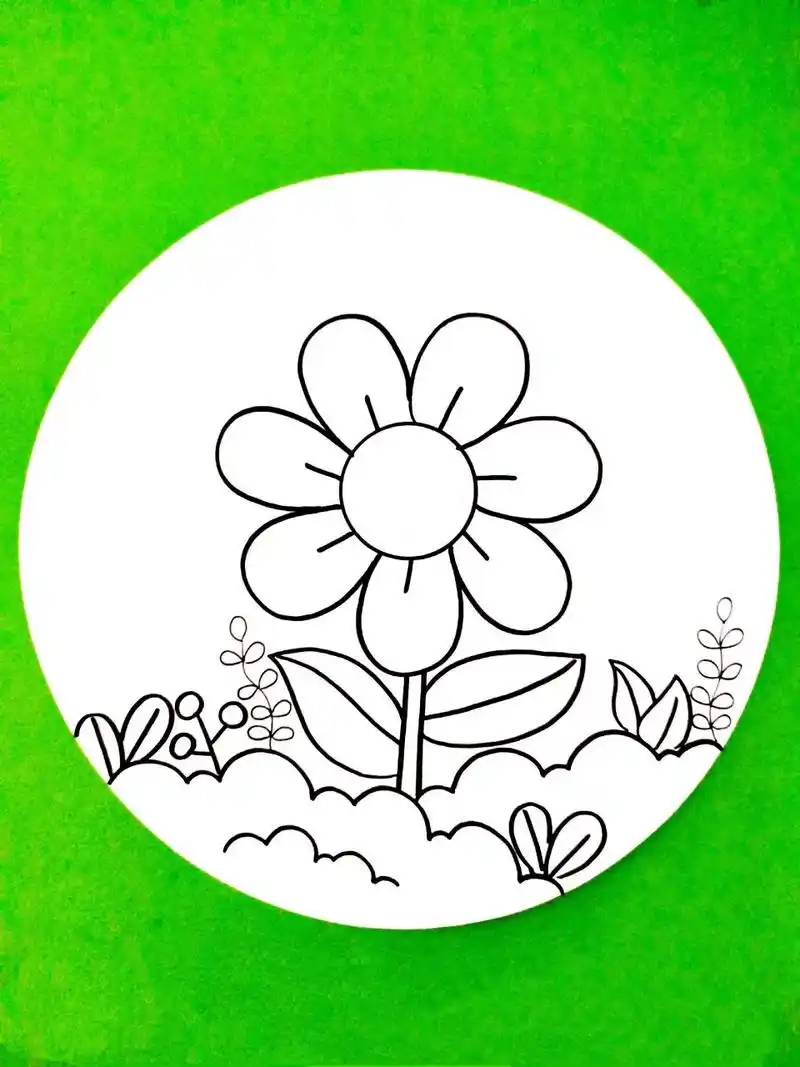 春天简笔画,花朵简笔画,一起来画美丽的七 春天简笔画,花朵简笔画,一