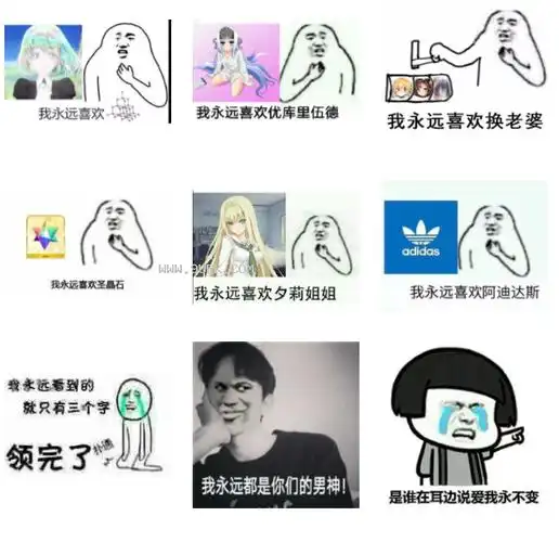 我永远喜欢薇尔莉特qq表情包免费版