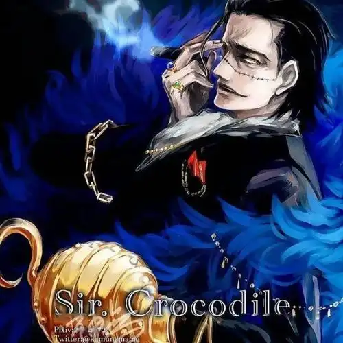 海贼王头像老沙