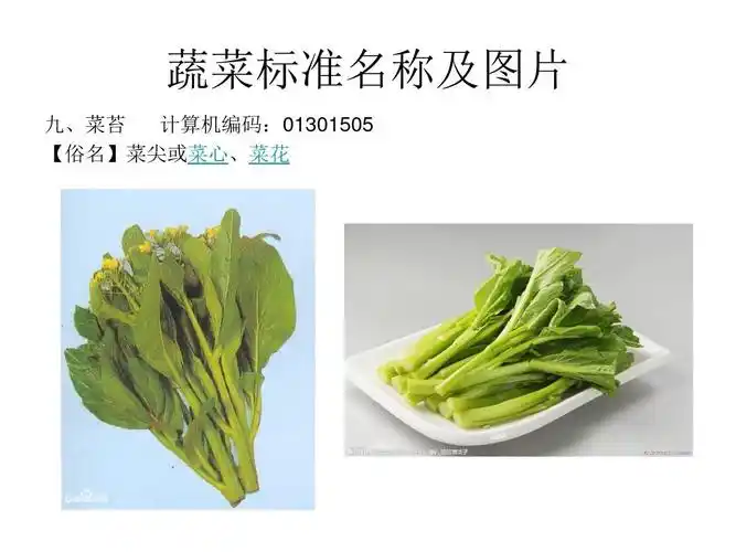 菜花 上一页第9页 下一页 你可能喜欢 蔬菜图片 常见蔬菜名称 蔬菜类