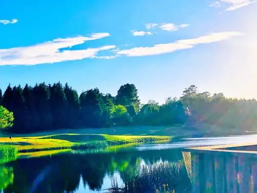 2021年(辛丑年)生肖猪全年及每月运势分析 写美篇1995年属猪人2021年