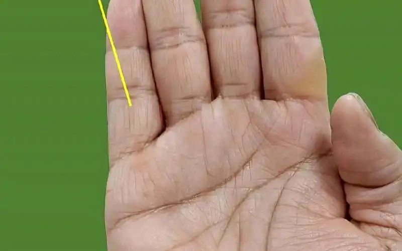 掌心有元宝纹好不好?