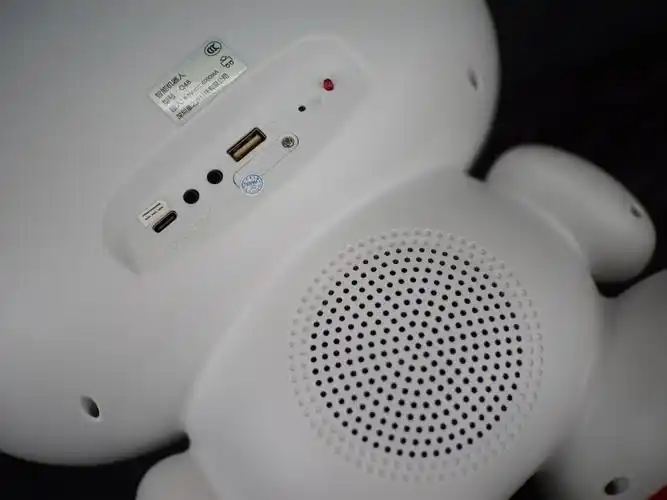 童之声智能机器人真实效果