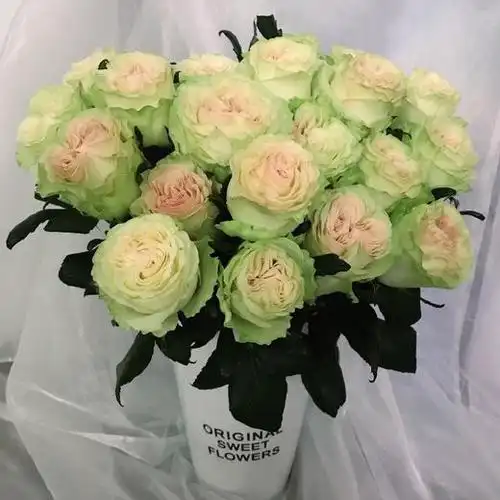 琉璃翠玫瑰20支冷链包邮昆明基地拉芙鲜花