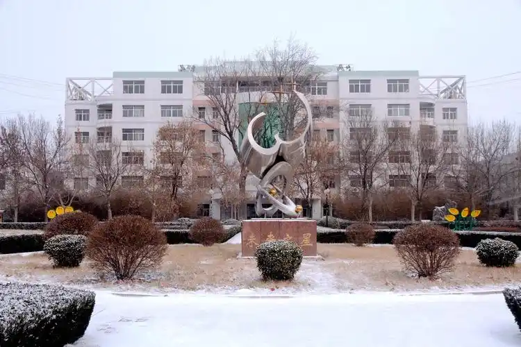 沧县中学2018年的第一场雪