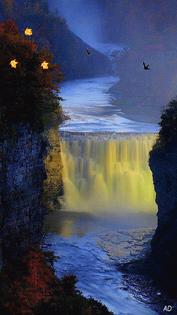 流水落叶景色秀丽gif动图_动态图_表情包下载_soogif