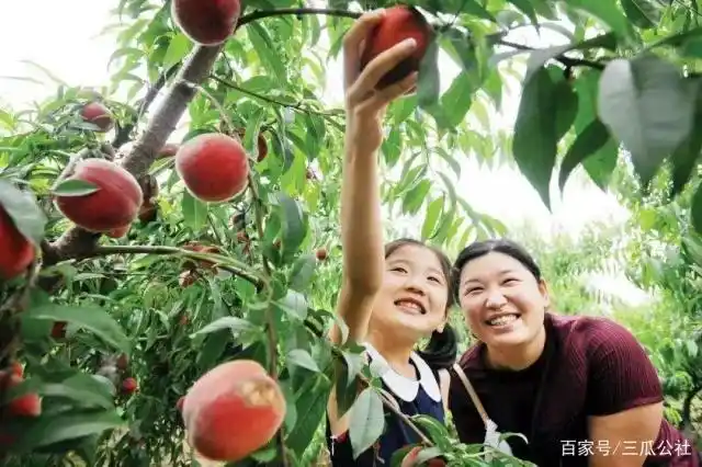 嘿,说你呢,免费摘桃约不约?